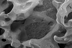 2 Dissolved Species Analysis